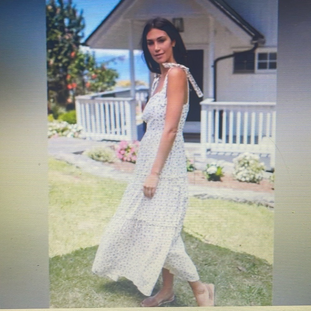 Neuflora Henrietta Dress Small